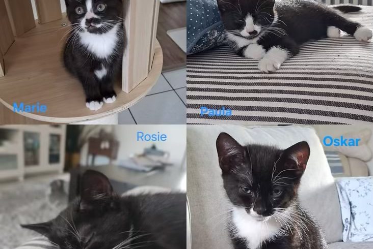 Oskar & Rosie