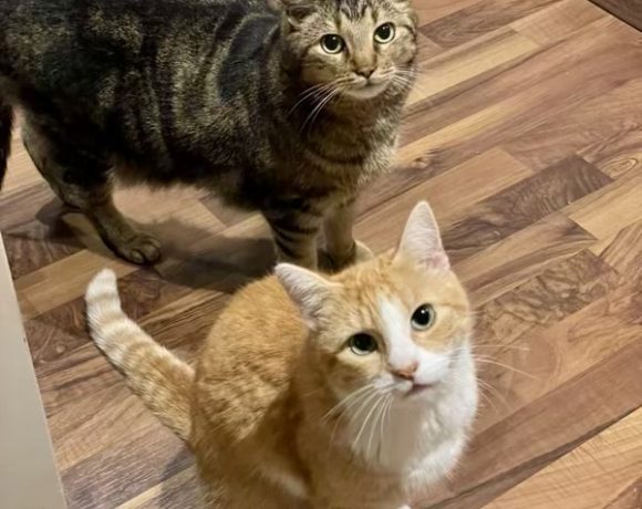 Bonnie & Clyde