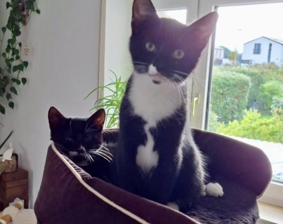Rosie & Oskar