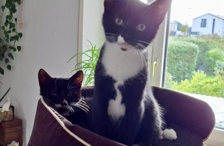 Rosie & Oskar