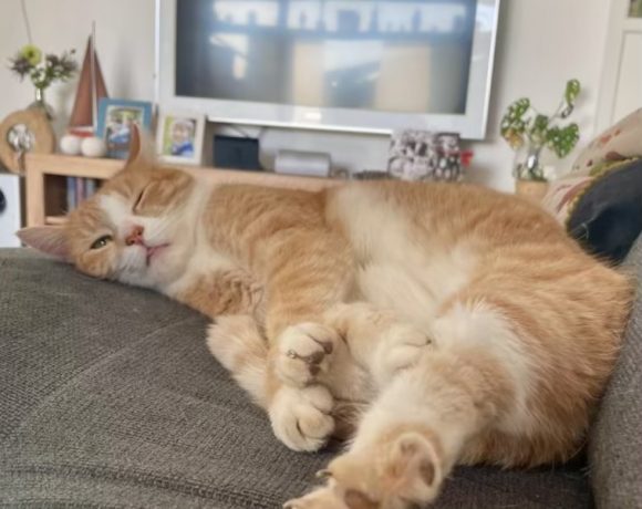 Bonnie & Clyde