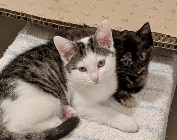 Lio & Lilly