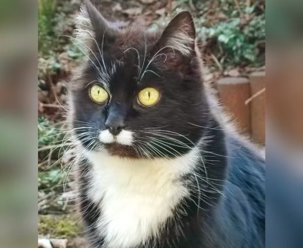 Schwarze Tochter