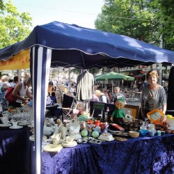 Samstag in Bonn: sommerlicher Flohmarkt auf dem Friedensplatz