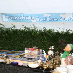 Sonntag: Stand auf dem Rhein-Antik-Markt Bonn